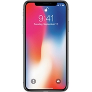 Apple - iPhone X 256GB - Space Gray (AT&T) bb